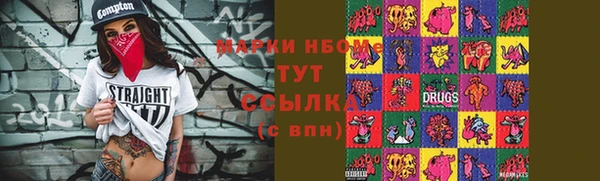 крисы Алексин
