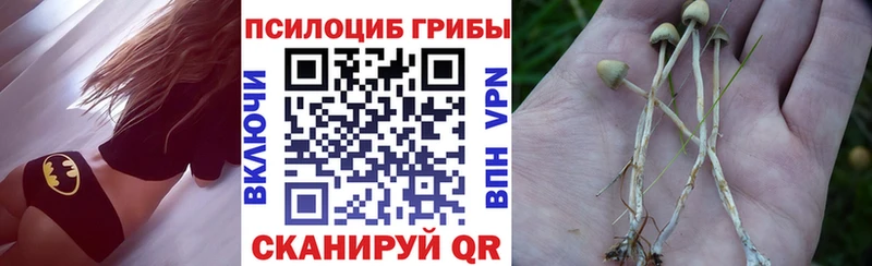 Псилоцибиновые грибы мицелий  Сосновоборск 